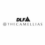 dlfcamellias Profile Picture